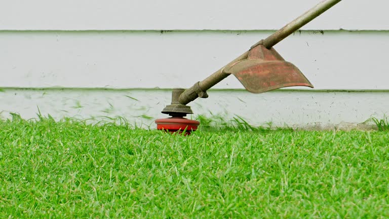 Best Lawn Pest Prevention  in Callaway, MD